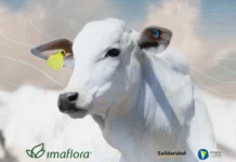 Iniciativas mostram caminhos para uma pecuária inclusiva e sustentável no Brasil iniciativas-mostram-caminhos-para-uma-pecuaria-inclusiva-e-sustentavel-no-brasil