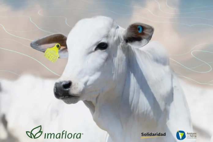 iniciativas-mostram-caminhos-para-uma-pecuaria-inclusiva-e-sustentavel-no-brasil iniciativas-mostram-caminhos-para-uma-pecuaria-inclusiva-e-sustentavel-no-brasil