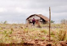 Cai número de assassinatos no campo, mas aumenta o de conflitos cai-numero-de-assassinatos-no-campo,-mas-aumenta-o-de-conflitos