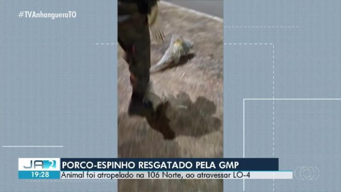 videos:-jornal-anhanguera-2a-edicao-to-de-quinta-feira,-03-de-setembro-de-2026…
