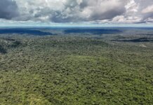 Fazenda autoriza crédito de US$ 1 bilhão do BID para Eco Invest Brasil fazenda-autoriza-credito-de-us$-1-bilhao-do-bid-para-eco-invest-brasil