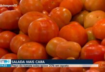 VÍDEOS: JA 2ª Edição – TO de sábado, 5 de setembro de 2026 videos:-ja-2a-edicao-–-to-de-sabado,-5-de-setembro-de-2026