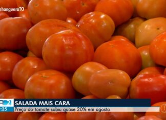videos:-ja-2a-edicao-–-to-de-sabado,-5-de-setembro-de-2026