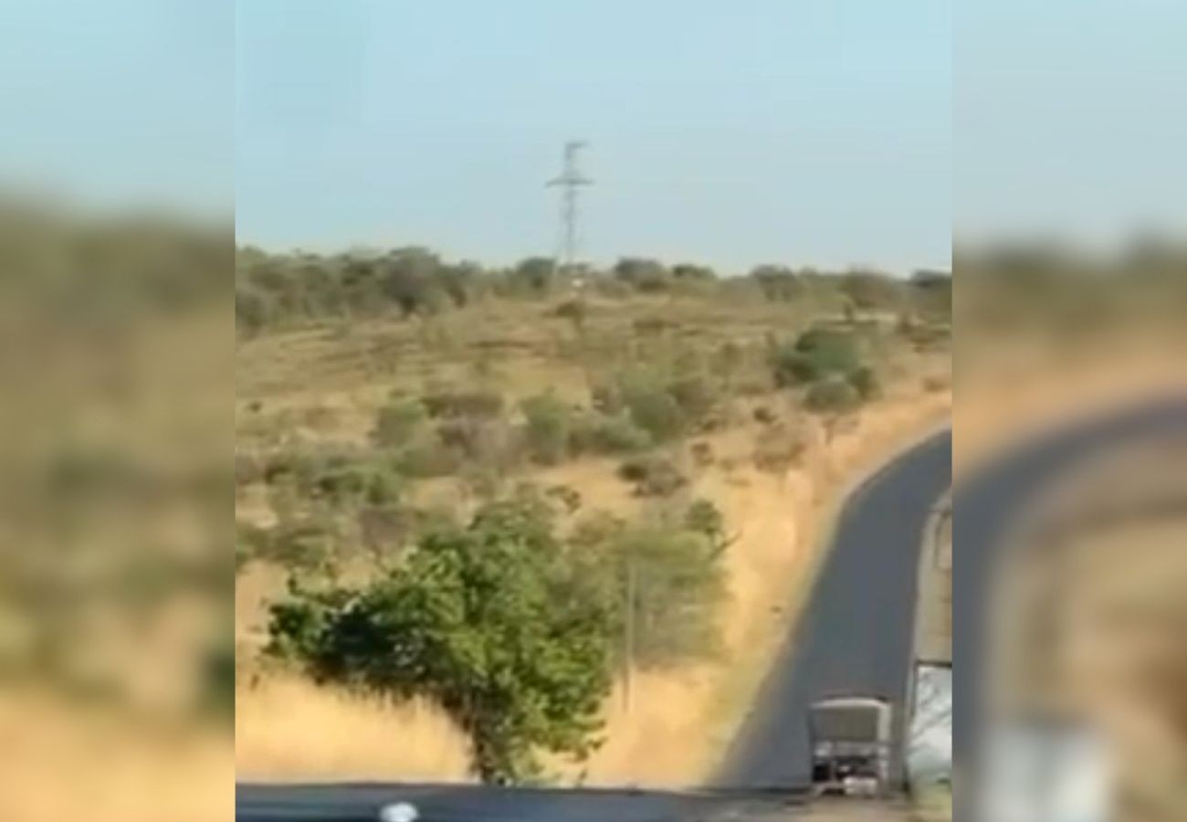 motociclista-morre-em-acidente-com-carreta-na-to-040 motociclista-morre-em-acidente-com-carreta-na-to-040