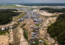 El Niño de 2024 expôs à seca quase 40% das áreas habitadas da Amazônia el-nino-de-2024-expos-a-seca-quase-40%-das-areas-habitadas-da-amazonia
