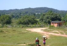 Programa de Reforma Agrária inclui 2,4 mil quilombolas no Maranhão programa-de-reforma-agraria-inclui-2,4-mil-quilombolas-no-maranhao
