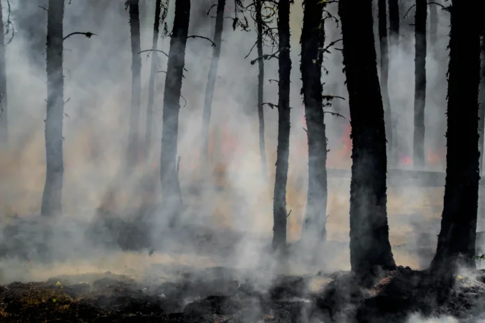 emissoes-de-incendios-florestais-na-indonesia-atingem-nivel-mais-alto-do-mundo emissoes-de-incendios-florestais-na-indonesia-atingem-nivel-mais-alto-do-mundo