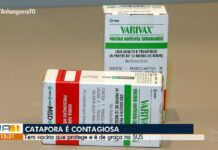 VÍDEOS: Jornal Anhanguera 1ª Edição-TO de quarta-feira, 9 de setembro de 2026 videos:-jornal-anhanguera-1a-edicao-to-de-quarta-feira,-9-de-setembro-de-2026