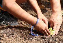 Entidades pedem apoio de candidatos em defesa da agroecologia entidades-pedem-apoio-de-candidatos-em-defesa-da-agroecologia