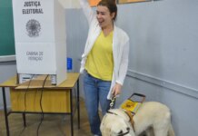 Eleitores com deficiência têm até hoje para pedir transporte grátis eleitores-com-deficiencia-tem-ate-hoje-para-pedir-transporte-gratis