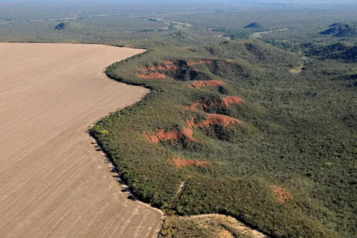 alertas-de-desmatamento-em-agosto-caem-no-cerrado,-mas-sobem-na-amazonia alertas-de-desmatamento-em-agosto-caem-no-cerrado,-mas-sobem-na-amazonia