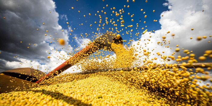 producao-agricola-brasileira-superou-r$-927-bilhoes-em-2025 producao-agricola-brasileira-superou-r$-927-bilhoes-em-2025