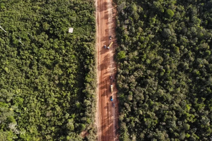 br-319-facilita-avanco-do-desmatamento-na-amazonia br-319-facilita-avanco-do-desmatamento-na-amazonia