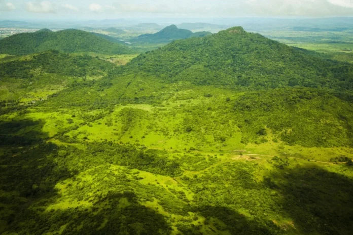 seca-e-calor-do-ultimo-el-nino-antecipam-“novo-normal”-para-florestas-tropicais