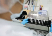 Vacina brasileira contra malária avança para testes em humanos vacina-brasileira-contra-malaria-avanca-para-testes-em-humanos