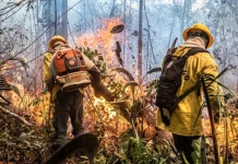 Governo federal reconhece emergência em 36 municípios do AM atingidos por incêndios florestais governo-federal-reconhece-emergencia-em-36-municipios-do-am-atingidos-por-incendios-florestais