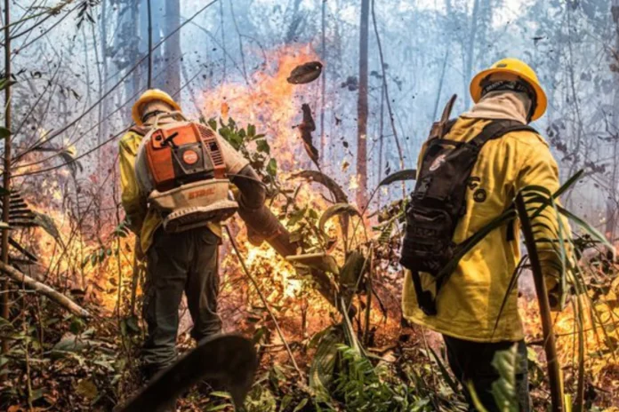 governo-federal-reconhece-emergencia-em-36-municipios-do-am-atingidos-por-incendios-florestais