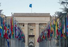 Pandemias: ONU aprova declaração por mais cooperação entre países pandemias:-onu-aprova-declaracao-por-mais-cooperacao-entre-paises