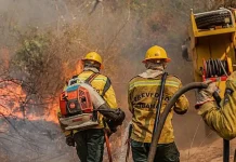 Fiocruz analisa impacto das queimadas na saúde indígena no Amazonas fiocruz-analisa-impacto-das-queimadas-na-saude-indigena-no-amazonas