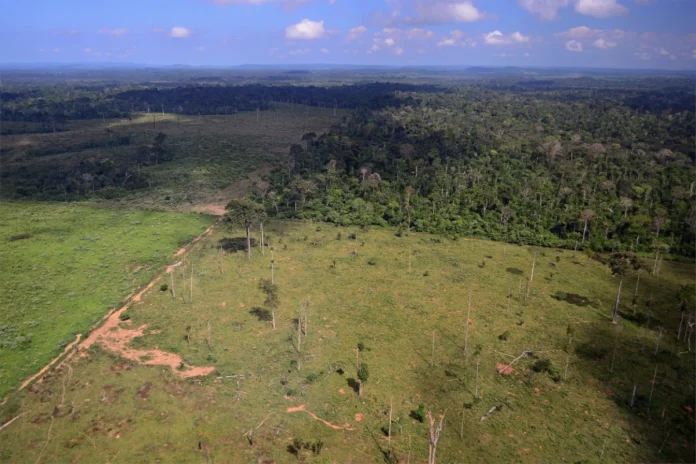 amazonia-registra-o-menor-desmatamento-em-41-anos,-mostra-o-mapbiomas