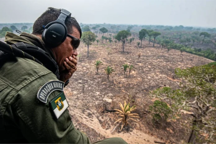 incendios-florestais-no-am-dobram,-mas-indice-esta-abaixo-da-media-historica