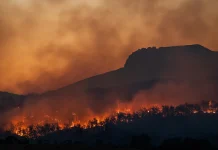 Sem sinal de arrefecimento, incêndios florestais na Indonésia destroem quase 300 casas sem-sinal-de-arrefecimento,-incendios-florestais-na-indonesia-destroem-quase-300-casas