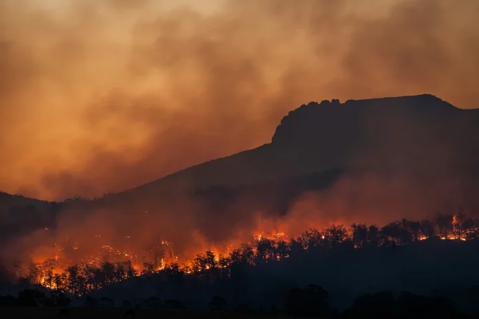 sem-sinal-de-arrefecimento,-incendios-florestais-na-indonesia-destroem-quase-300-casas