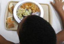 ONU: inovação para enfrentar crise alimentar é tema de ação no Brasil onu:-inovacao-para-enfrentar-crise-alimentar-e-tema-de-acao-no-brasil