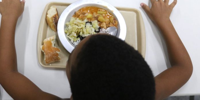 onu:-inovacao-para-enfrentar-crise-alimentar-e-tema-de-acao-no-brasil