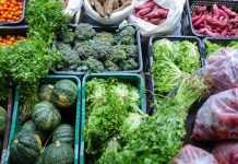 Segurança alimentar exige esforço coletivo e articulação seguranca-alimentar-exige-esforco-coletivo-e-articulacao