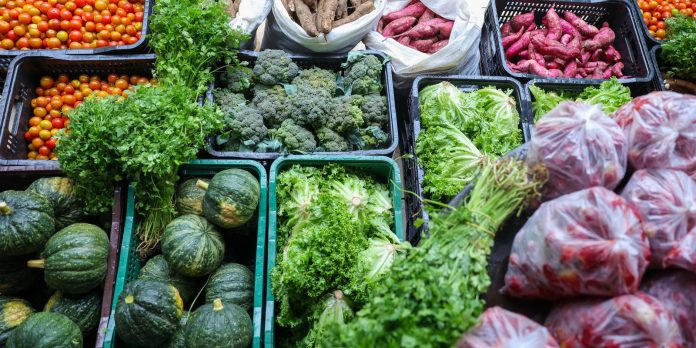 seguranca-alimentar-exige-esforco-coletivo-e-articulacao