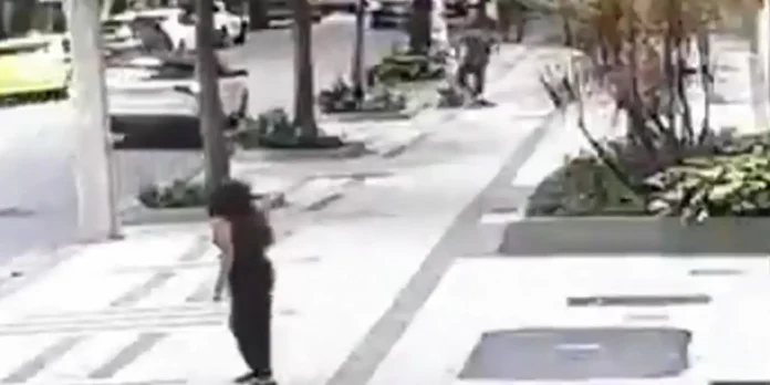 professora-aposentada-da-ufrj-e-baleada-em-assalto-na-zona-sul-do-rio