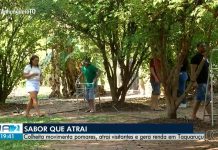 VÍDEOS: Jornal Anhanguera 2ª Edição-TO de sábado, 17 de outubro de 2026 videos:-jornal-anhanguera-2a-edicao-to-de-sabado,-17-de-outubro-de-2026