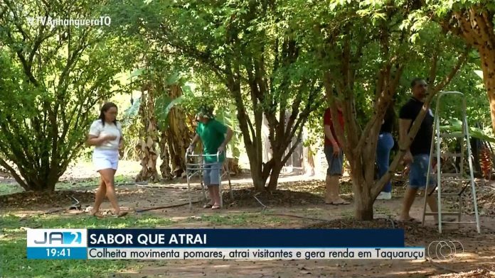 videos:-jornal-anhanguera-2a-edicao-to-de-sabado,-17-de-outubro-de-2026