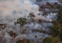 Seca associada ao El Niño deixa Amazônia mais propensa a incêndios, diz NASA seca-associada-ao-el-nino-deixa-amazonia-mais-propensa-a-incendios,-diz-nasa
