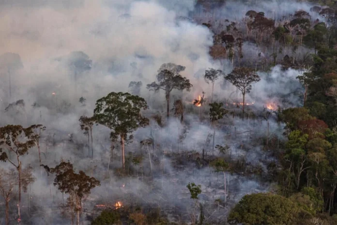 seca-associada-ao-el-nino-deixa-amazonia-mais-propensa-a-incendios,-diz-nasa