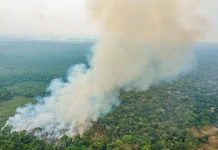 A volta da boiada: Flávio Bolsonaro promete derrubar regras ambientais para produtores rurais a-volta-da-boiada:-flavio-bolsonaro-promete-derrubar-regras-ambientais-para-produtores-rurais