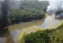 Jair Bolsonaro abriu caminho para crime organizado dominar Amazônia, mostra estudo jair-bolsonaro-abriu-caminho-para-crime-organizado-dominar-amazonia,-mostra-estudo
