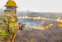 IBAMA aplica R$ 2 milhões em multas por incêndios florestais no Amazonas ibama-aplica-r$-2-milhoes-em-multas-por-incendios-florestais-no-amazonas