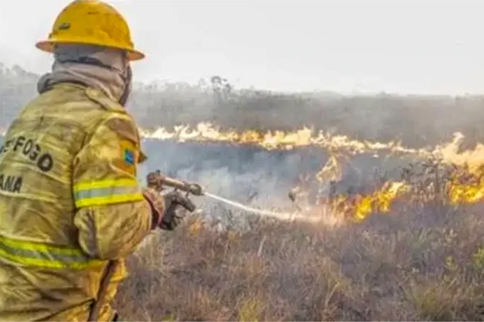 ibama-aplica-r$-2-milhoes-em-multas-por-incendios-florestais-no-amazonas ibama-aplica-r$-2-milhoes-em-multas-por-incendios-florestais-no-amazonas
