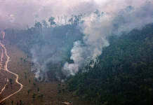 Incêndios florestais no Amazonas são criminosos e dispararam após 1º turno incendios-florestais-no-amazonas-sao-criminosos-e-dispararam-apos-1o-turno