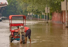 ONU pede ação urgente e antecipada para proteger vulneráveis do “Super El Niño” onu-pede-acao-urgente-e-antecipada-para-proteger-vulneraveis-do-“super-el-nino”