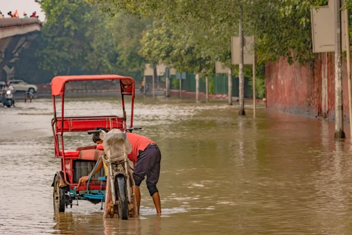 onu-pede-acao-urgente-e-antecipada-para-proteger-vulneraveis-do-“super-el-nino” onu-pede-acao-urgente-e-antecipada-para-proteger-vulneraveis-do-“super-el-nino”