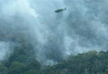 Incêndios caem no AM com ações do governo federal, e ar melhora em Manaus incendios-caem-no-am-com-acoes-do-governo-federal,-e-ar-melhora-em-manaus