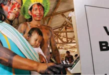 MPF e MPI cobram medidas para garantir voto indígena no 2º turno mpf-e-mpi-cobram-medidas-para-garantir-voto-indigena-no-2o-turno