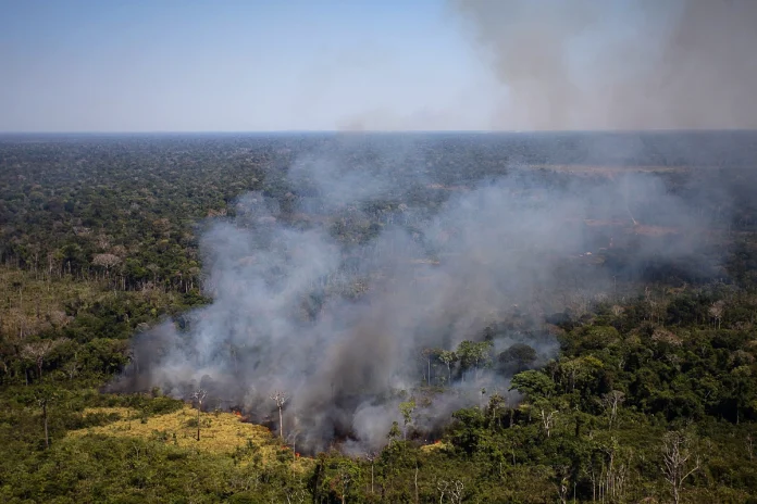 atividades-humanas-sao-principal-fator-de-emissao-de-carbono-na-amazonia,-mostra-estudo