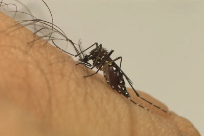 fiocruz:-mudancas-climaticas-ja-causam-aumento-de-doencas-infecciosas-no-brasil fiocruz:-mudancas-climaticas-ja-causam-aumento-de-doencas-infecciosas-no-brasil