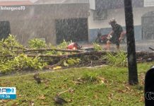Chuva com ventos fortes derruba árvores e provoca estragos em Araguaína; Vídeo chuva-com-ventos-fortes-derruba-arvores-e-provoca-estragos-em-araguaina;-video