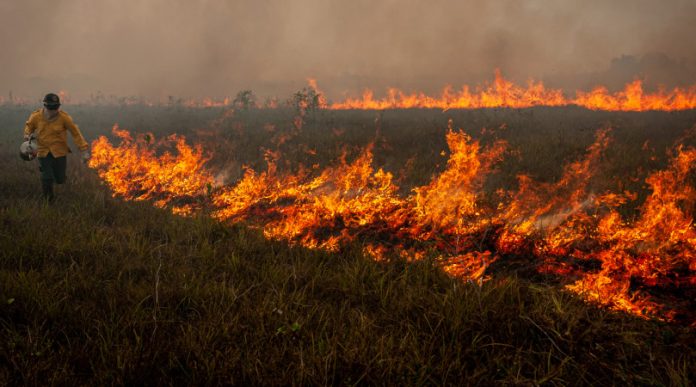 incendios-tem-queda-de-quase-80%-no-amazonas-durante-o-mes-de-outubro