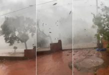 Vídeo mostra ventania derrubando árvores; moradora se assusta: ‘Meu Deus do céu’ video-mostra-ventania-derrubando-arvores;-moradora-se-assusta:-‘meu-deus-do-ceu’